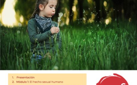 Sexualidad Infantil - Cartel